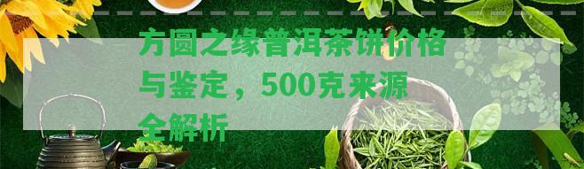 方圓之緣普洱茶餅價(jià)格與鑒定，500克來源全解析