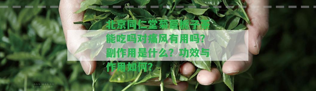 北京同仁堂菊苣梔子茶能吃嗎對痛風(fēng)有用嗎？副作用是什么？功效與作用怎樣？