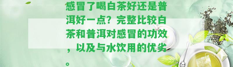 感冒了喝白茶好還是普洱好一點(diǎn)？完整比較白茶和普洱對(duì)感冒的功效，以及與水飲用的優(yōu)劣。