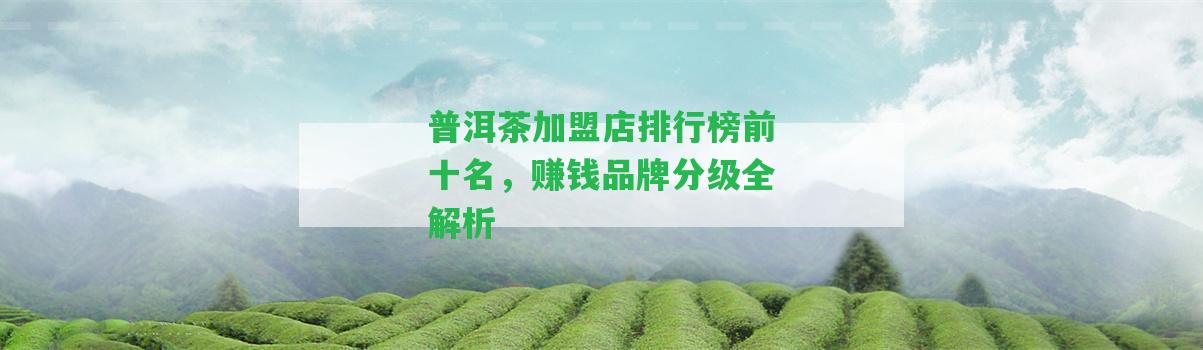 普洱茶加盟店排行榜前十名，賺錢品牌分級全解析