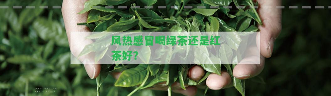 風(fēng)熱感冒喝綠茶還是紅茶好？