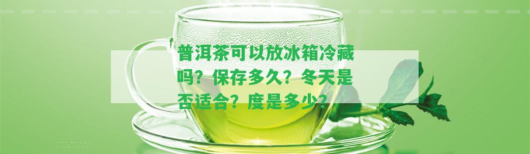 普洱茶可以放冰箱冷藏嗎？保存多久？冬天是不是適合？度是多少？