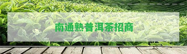 南通熟普洱茶招商