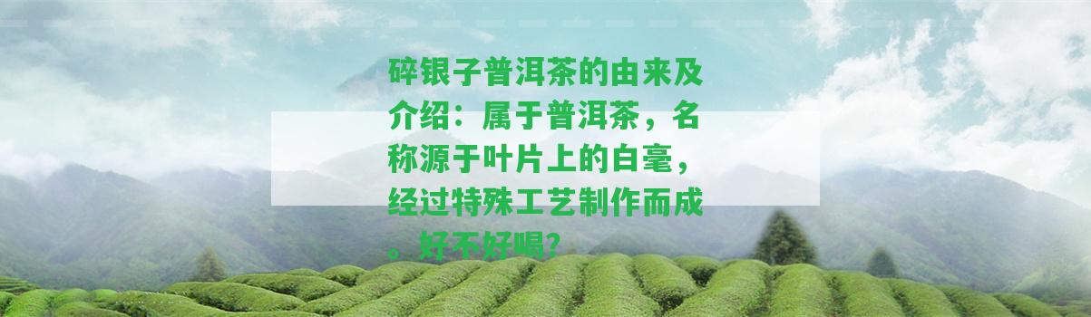 碎銀子普洱茶的由來及介紹：屬于普洱茶，名稱源于葉片上的白毫，經(jīng)過特殊工藝制作而成。好不好喝？