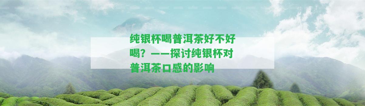 純銀杯喝普洱茶好不好喝？——探討純銀杯對普洱茶口感的作用