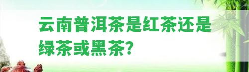 云南普洱茶是紅茶還是綠茶或黑茶？