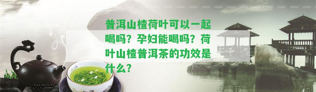 普洱山楂荷葉可以一起喝嗎？孕婦能喝嗎？荷葉山楂普洱茶的功效是什么？