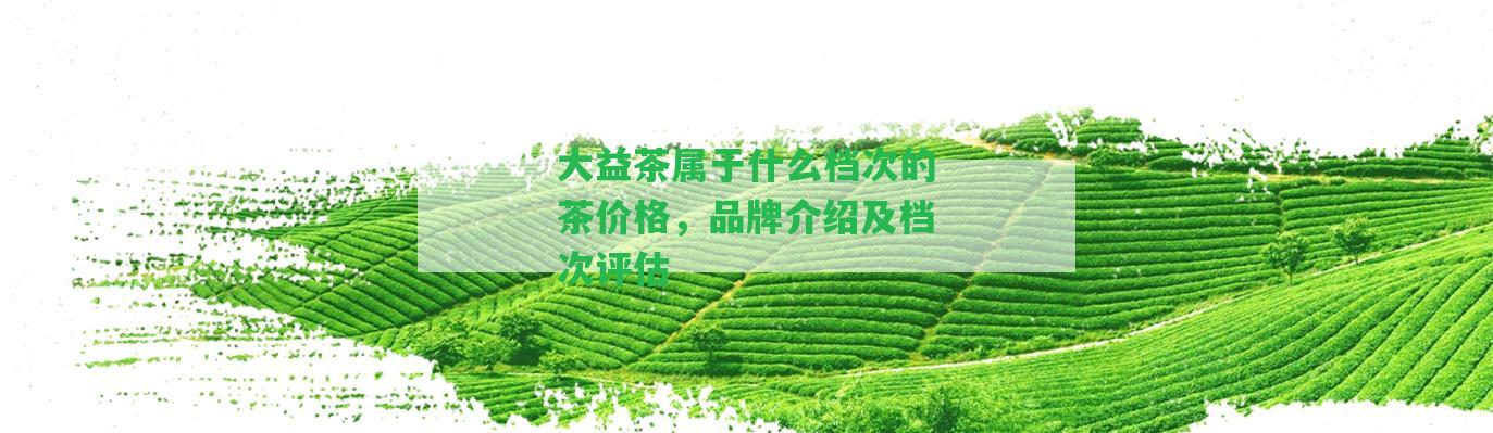 大益茶屬于什么檔次的茶價格，品牌介紹及檔次評估