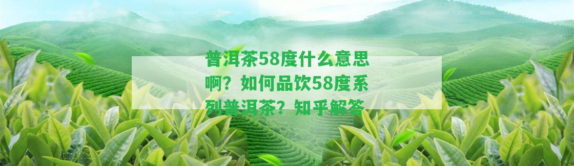 普洱茶58度什么意思啊？怎樣品飲58度系列普洱茶？知乎解答