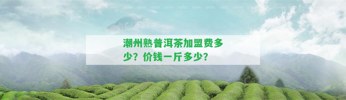 潮州熟普洱茶加盟費(fèi)多少？價(jià)錢一斤多少？