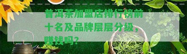 普洱茶加盟店排行榜前十名及品牌層層分級(jí)，賺錢(qián)嗎？