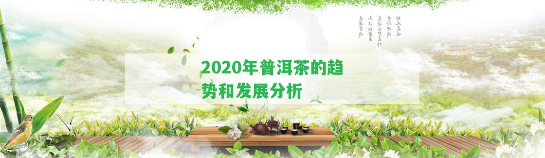 2020年普洱茶的趨勢和發(fā)展分析