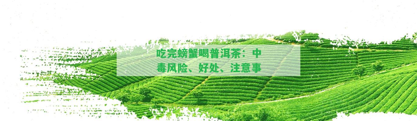 吃完螃蟹喝普洱茶：中毒風(fēng)險、好處、留意事