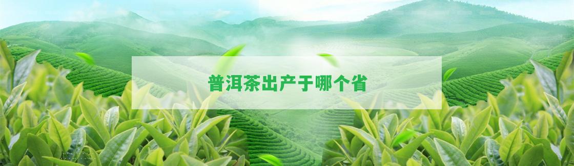 普洱茶出產(chǎn)于哪個省