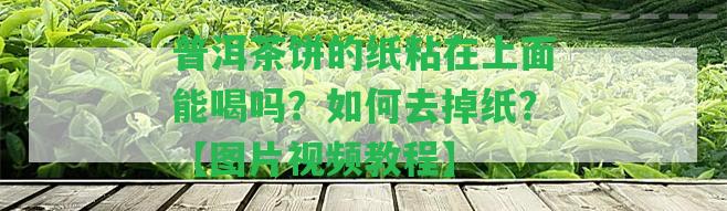 普洱茶餅的紙粘在上面能喝嗎？怎樣去掉紙？【圖片視頻教程】