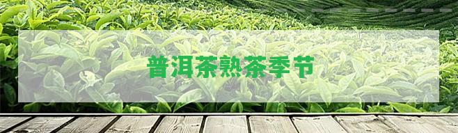 普洱茶熟茶季節(jié)