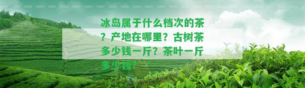 冰島屬于什么檔次的茶？產(chǎn)地在哪里？古樹茶多少錢一斤？茶葉一斤多少錢？