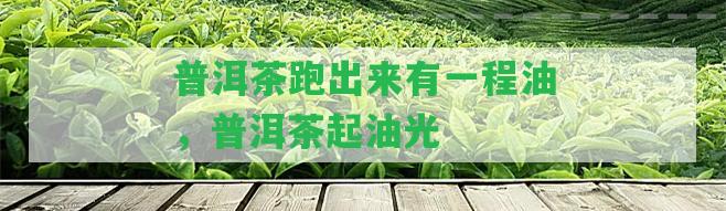 普洱茶跑出來(lái)有一程油，普洱茶起油光