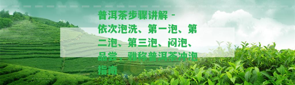 普洱茶步驟講解 - 依次泡洗、第一泡、第二泡、第三泡、悶泡、品嘗，雅稱普洱茶沖泡指南