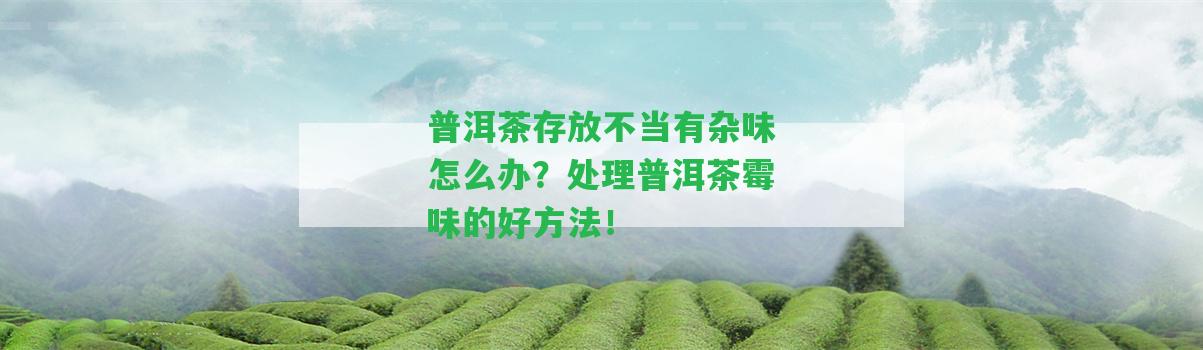 普洱茶存放不當(dāng)有雜味怎么辦？解決普洱茶霉味的好方法！