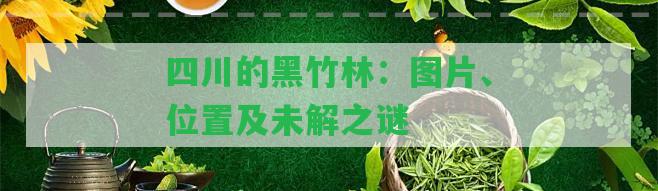 四川的黑竹林：圖片、位置及未解之謎