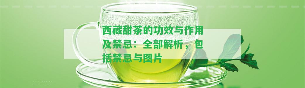 西藏甜茶的功效與作用及禁忌：全部解析，包含禁忌與圖片