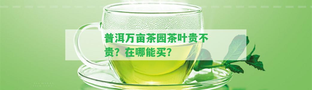 普洱萬畝茶園茶葉貴不貴？在哪能買？