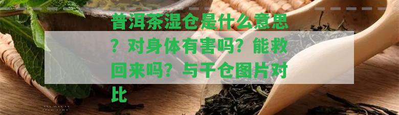 普洱茶濕倉是什么意思？對身體有害嗎？能救回來嗎？與干倉圖片對比