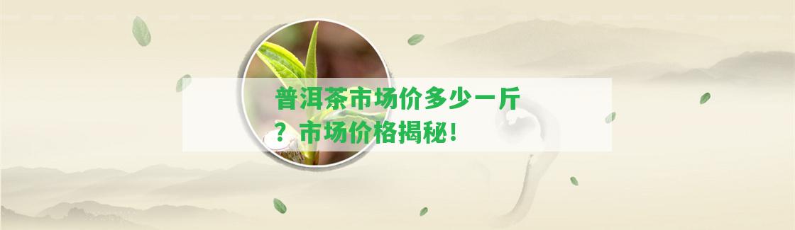 普洱茶市場價多少一斤？市場價格揭秘！