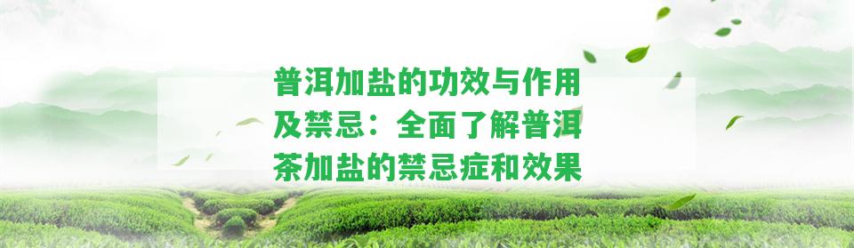 普洱加鹽的功效與作用及禁忌：全面熟悉普洱茶加鹽的禁忌癥和效果