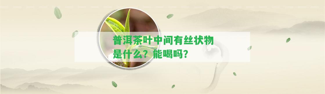 普洱茶葉中間有絲狀物是什么？能喝嗎？