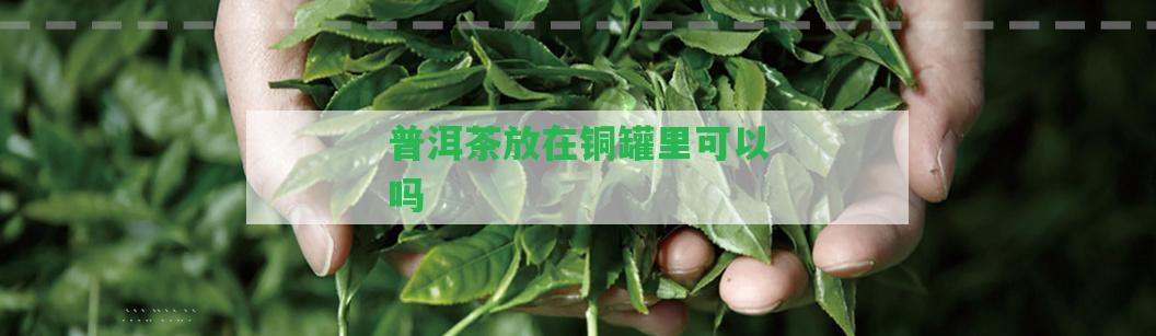 普洱茶放在銅罐里可以嗎