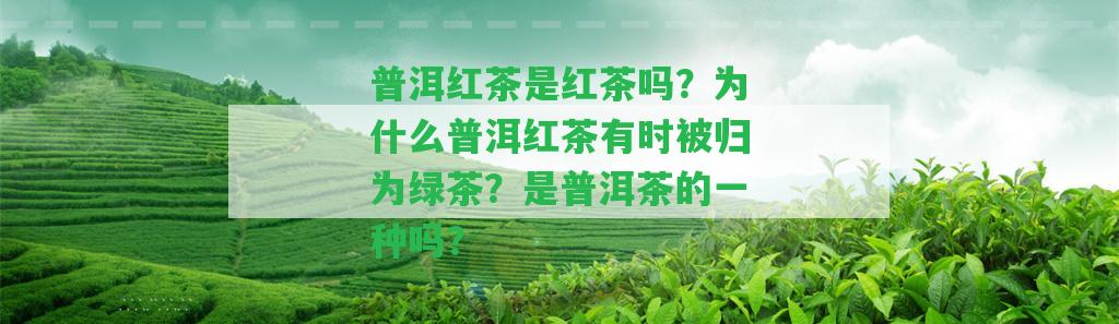 普洱紅茶是紅茶嗎？為什么普洱紅茶有時(shí)被歸為綠茶？是普洱茶的一種嗎？