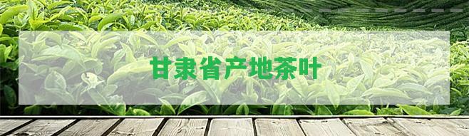 甘隸省產(chǎn)地茶葉