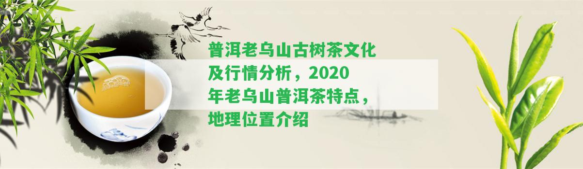 普洱老烏山古樹茶文化及行情分析，2020年老烏山普洱茶特點，地理位置介紹