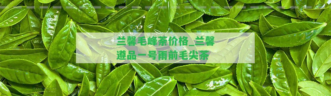 蘭馨毛峰荼價(jià)格_蘭馨遵品一號(hào)雨前毛尖茶