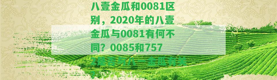 八壹金瓜和0081區(qū)別，2020年的八壹金瓜與0081有何不同？0085和7572是不是與八一金瓜有關(guān)？