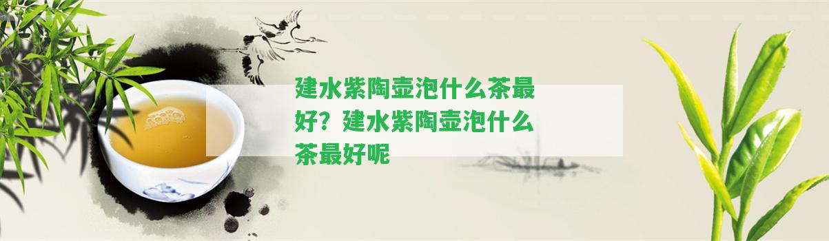 建水紫陶壺泡什么茶最好？建水紫陶壺泡什么茶最好呢