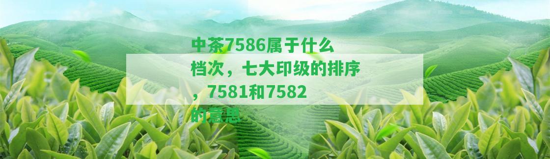 中茶7586屬于什么檔次，七大印級的排序，7581和7582的意思