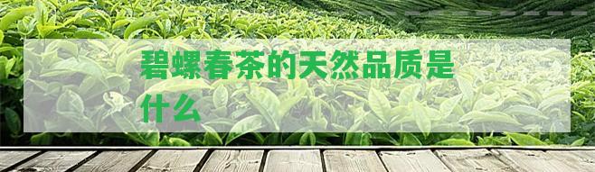 碧螺春茶的天然品質(zhì)是什么