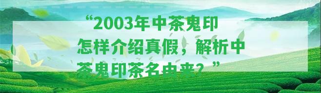 “2003年中茶鬼印怎樣介紹真假，解析中茶鬼印茶名由來？”