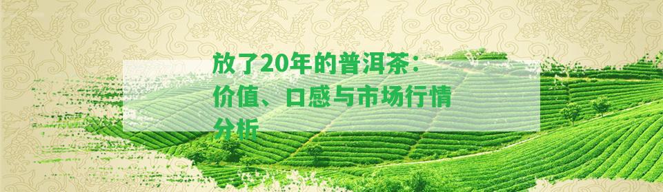 放了20年的普洱茶：價(jià)值、口感與市場行情分析