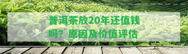 普洱茶放20年還值錢嗎？起因及價值評估