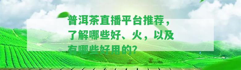 普洱茶直播平臺推薦，熟悉哪些好、火，以及有哪些好用的？