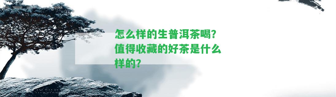 怎么樣的生普洱茶喝？值得收藏的好茶是什么樣的？