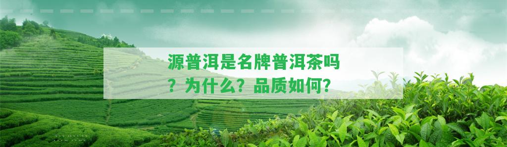 源普洱是名牌普洱茶嗎？為什么？品質(zhì)怎樣？