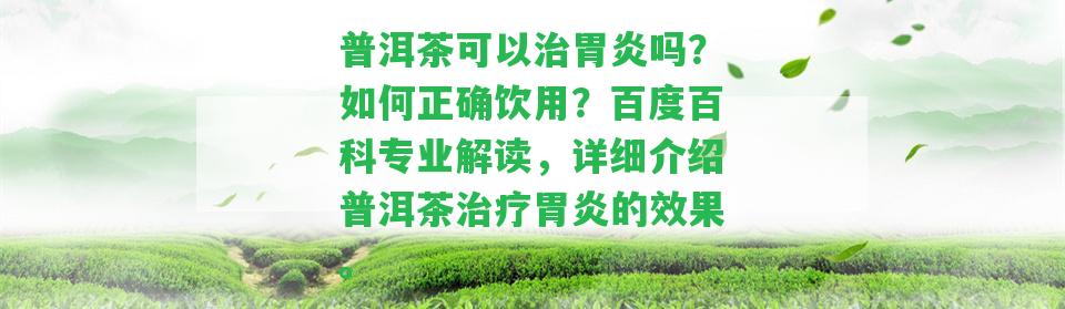 普洱茶可以治胃炎嗎？怎樣正確飲用？百度百科專業(yè)解讀，詳細(xì)介紹普洱茶治療胃炎的效果。