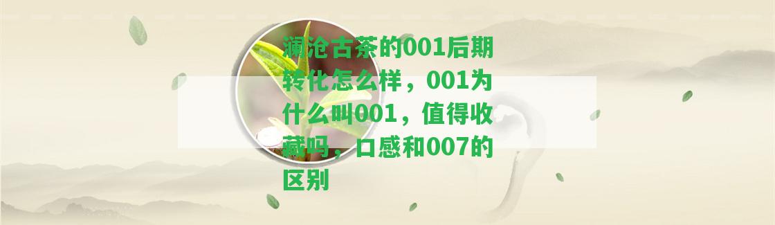 瀾滄古茶的001后期轉(zhuǎn)化怎么樣，001為什么叫001，值得收藏嗎，口感和007的區(qū)別