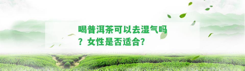 喝普洱茶可以去濕氣嗎？女性是不是適合？