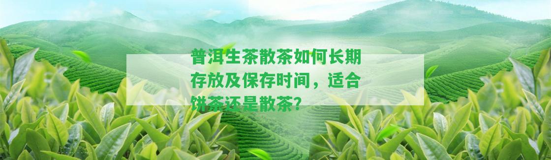 普洱生茶散茶怎樣長(zhǎng)期存放及保存時(shí)間，適合餅茶還是散茶？